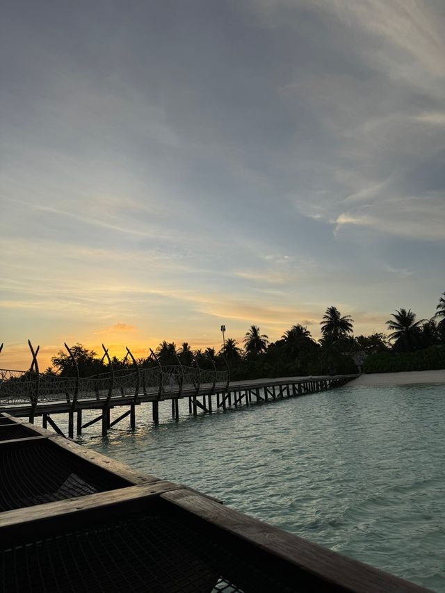 Magical Week at Lux: A Honeymoon to Remember