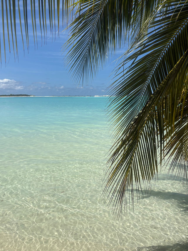 Heavenly Island Retreat with Stellar Service