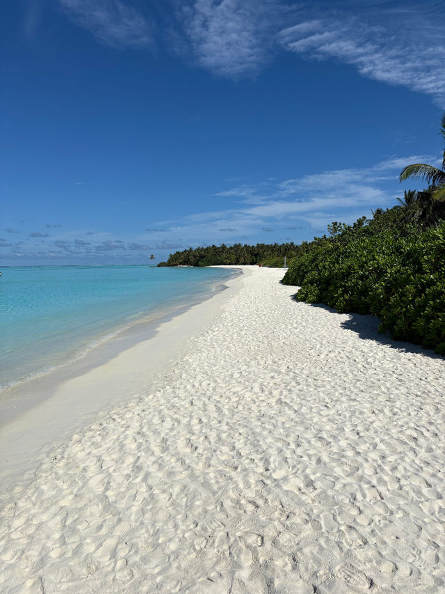Heavenly Island Retreat with Stellar Service