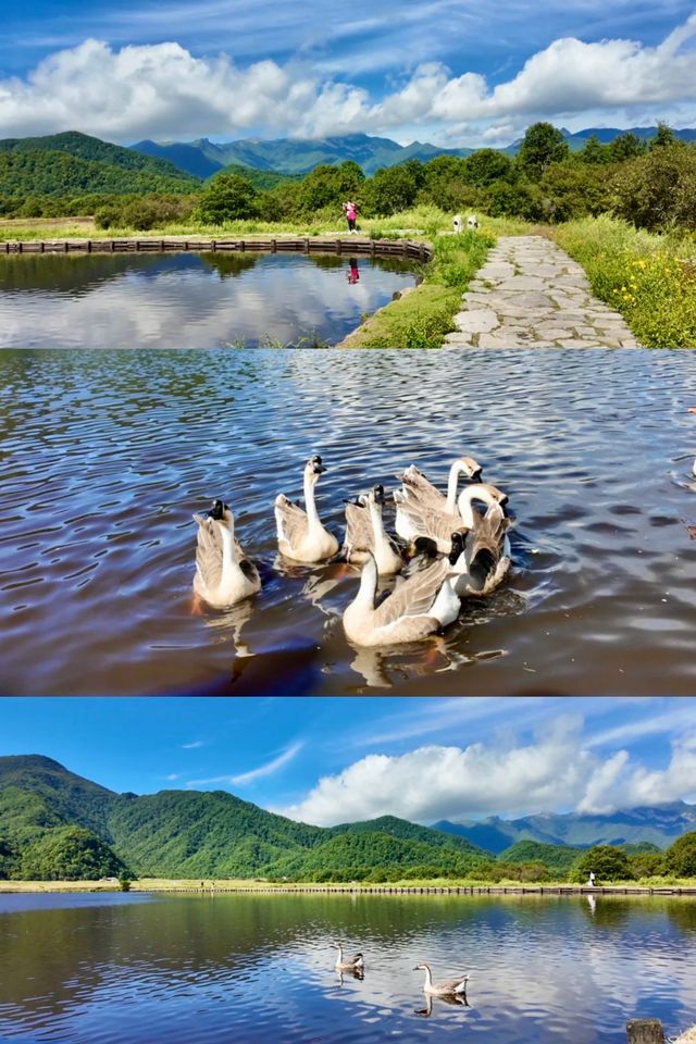9月私藏！3天2夜閨蜜躺平攻略，住進童話民宿+追銀河
