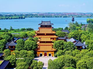 Slow life in the water city, double green impact! One-day tour of Qinhu Wetland + Lizhong Forest.