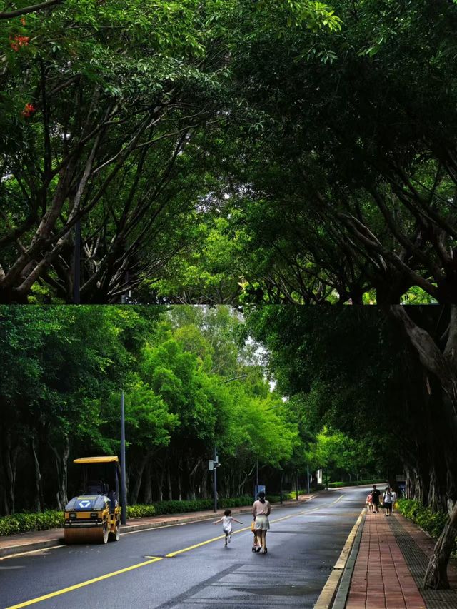廈門「濱海綠道寶藏公園」