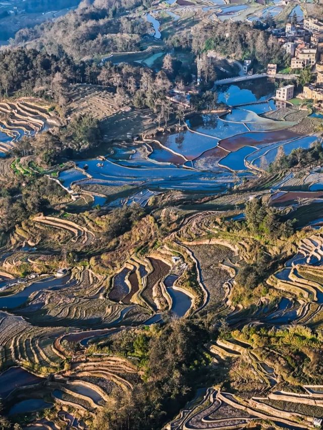 雲南紅河哈尼桑田旅行攻略