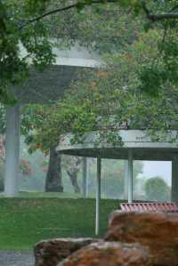 雨中漫步的絕美意境有人困在雨裡，有人雨中賞雨