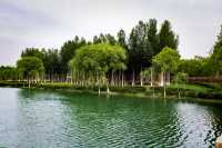 中衛香山公園｜自然景觀與人文休閒於一體的城市公園