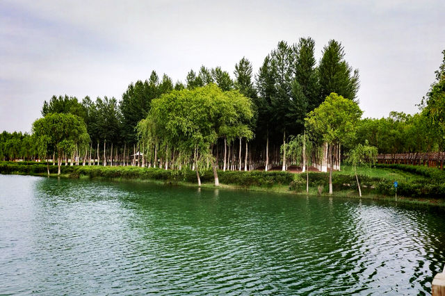 中衛香山公園｜自然景觀與人文休閒於一體的城市公園