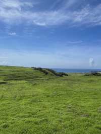 🌿 Dongji Island: Where Emerald Meadows Meet Endless Azure Skies! ☁️