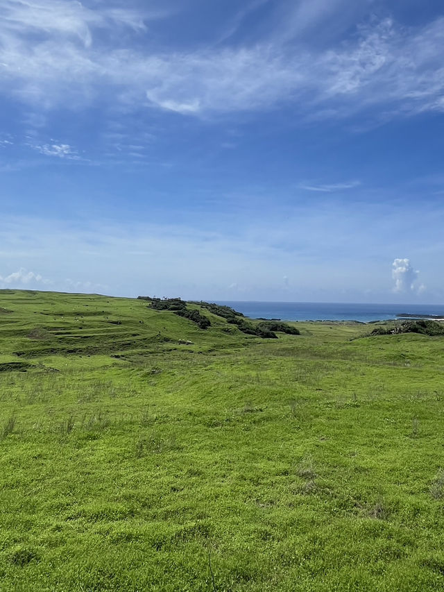 🌿 Dongji Island: Where Emerald Meadows Meet Endless Azure Skies! ☁️