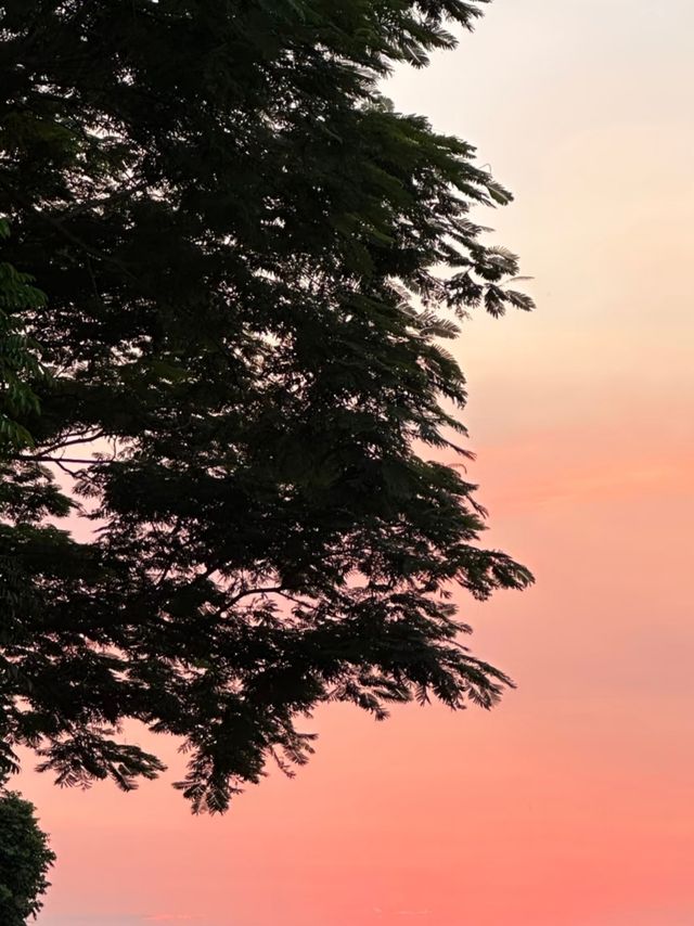 清遠山水秘境打卡