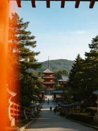 若草山手記｜在三重櫻色裡與鹿共枕星河
