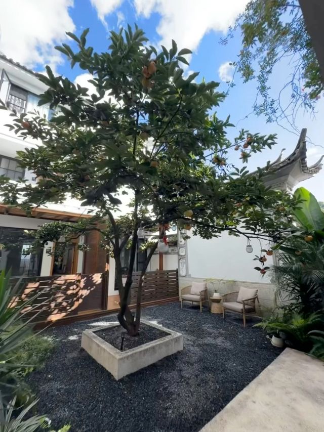 在大理古城，這家寶藏法式風民宿被我找到了