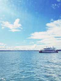 ⛵️ Devonport opposite Harbour: Auckland's Nautical Paradise in the timeless soul❤️! 🌊
