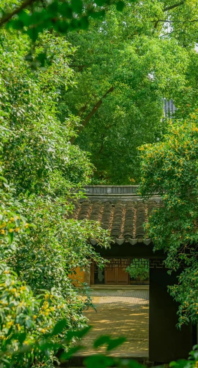 北寺塔賞蘇州全景絕佳