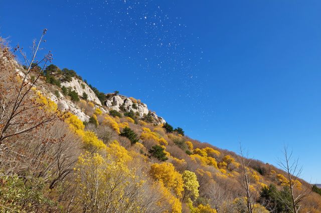 驚艷！水長城秋日絕美調色盤金黃火紅美如畫