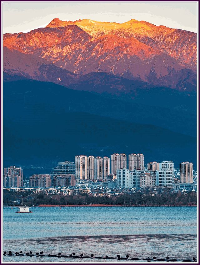 大理旅遊踩坑案例