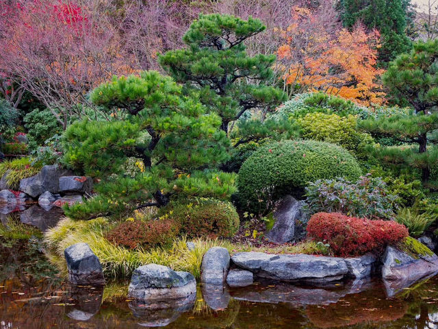 Solo in a Hidden Vancouver Gem: The Momiji Garden at Hastings Park