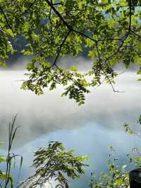 湖南郴州保姆級3天2夜攻略！莽山霧漫小東江，人均600