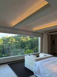 版納的山野裡 我住進了夢中的奢隱烏托邦