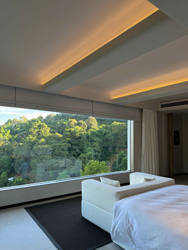 版納的山野裡 我住進了夢中的奢隱烏托邦