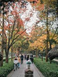 南京3日賞秋攻略看這一篇就夠了