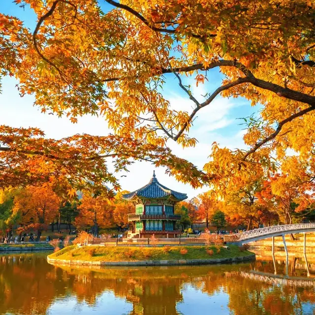 Seoul in Autumn: 20,000 Steps to Golden Memories