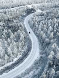 冬季5天玩透呼倫貝爾這篇攻略夠夠的