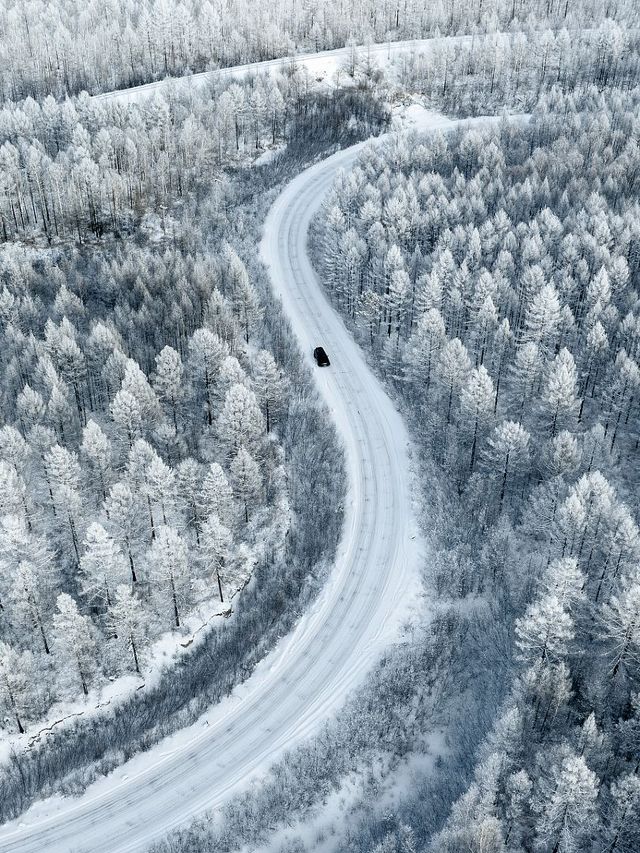 冬季5天玩透呼倫貝爾這篇攻略夠夠的