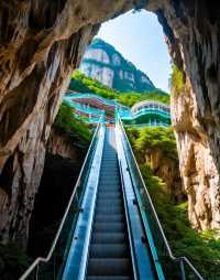 乳源雲門山旅遊區|禪意山水與高空冒險的雙重治癒