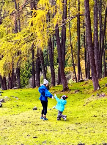 Hiking and mushroom picking in the colorful forest where immortals reside🟫 Shenmu Lei means "the place where immortals play" in Tibetan. The altitude here is 2300-4