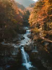 秋日遛娃私藏地！光霧山紅葉美到心巴上