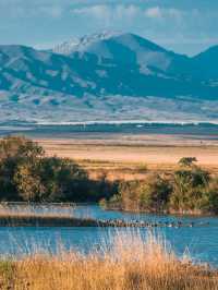 新疆昭蘇濕地：80%遊人錯過的秋日秘境，四景封神