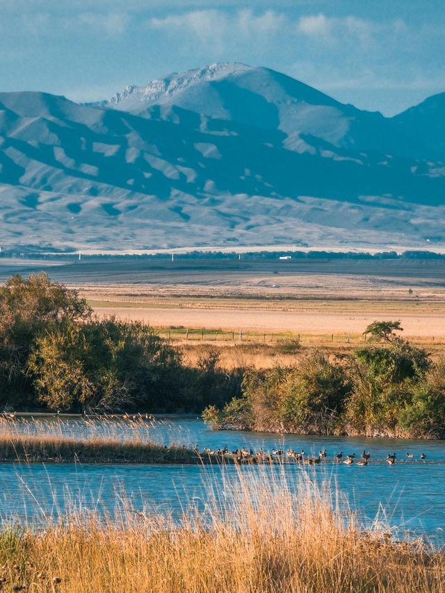 新疆昭蘇濕地：80%遊人錯過的秋日秘境，四景封神