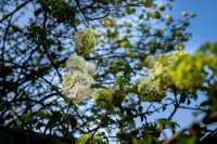 初冬來信，鹽官赴約