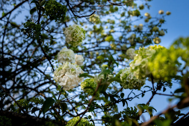 初冬來信，鹽官赴約