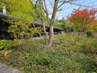 Exceptional Butler Service & Memorable Activities