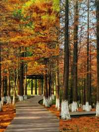 南昌｜是秋天的味道