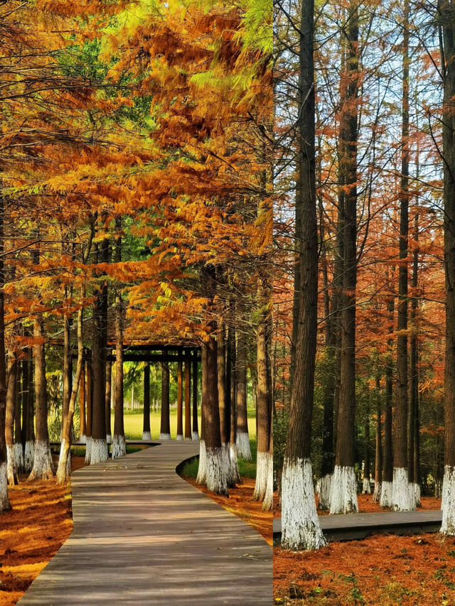 南昌｜是秋天的味道