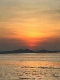 椰子林與海的完美邂逅