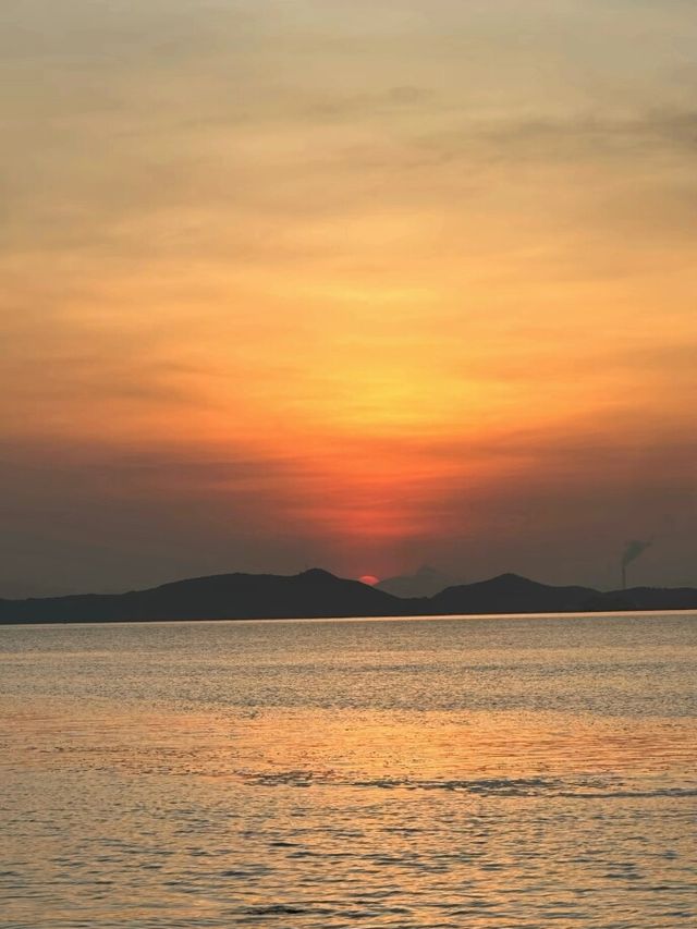 椰子林與海的完美邂逅