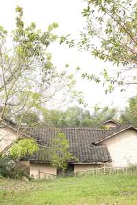 廣安隱藏免費瀑布!運氣爆棚偶遇彩虹也太絕