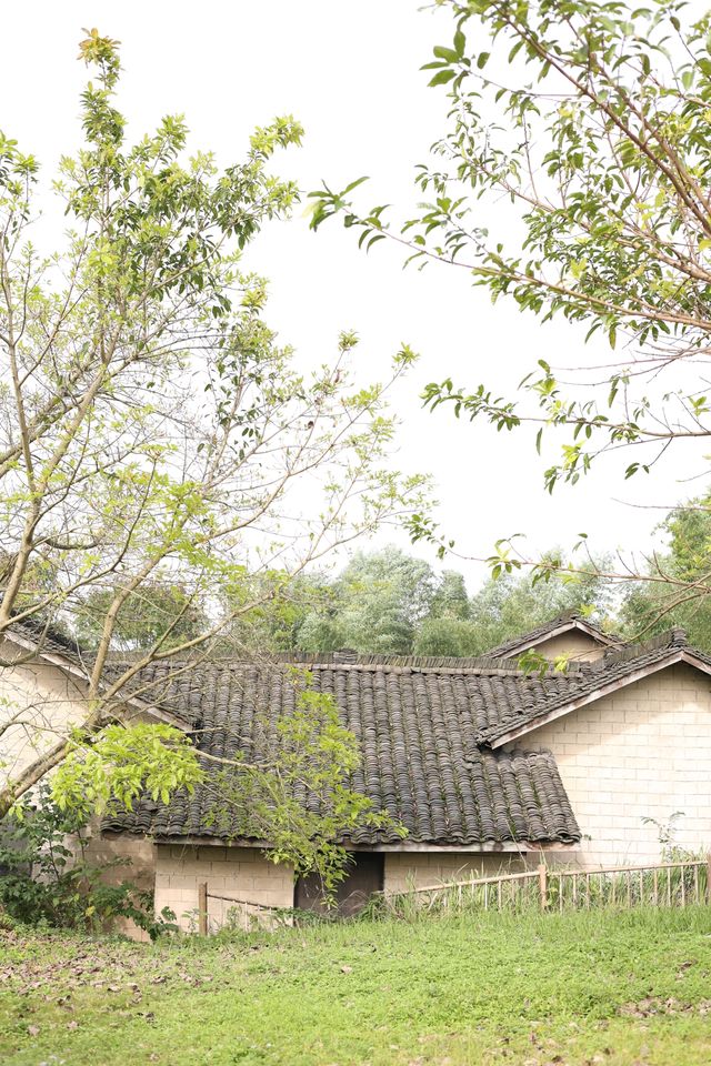 廣安隱藏免費瀑布!運氣爆棚偶遇彩虹也太絕 廣安隱藏免費瀑布!運氣爆棚偶遇彩虹也太絕