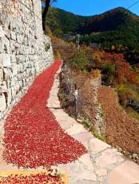 北京人的最愛，南太行的最美--秋日限定色！