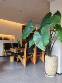 麗江又下雪了，冬日裡的樸致更溫暖。