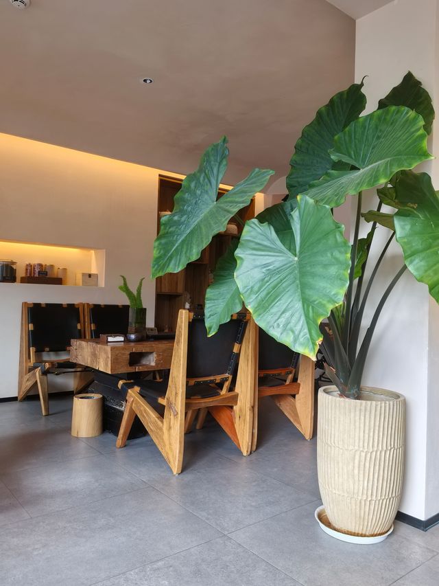 麗江又下雪了，冬日裡的樸致更溫暖。