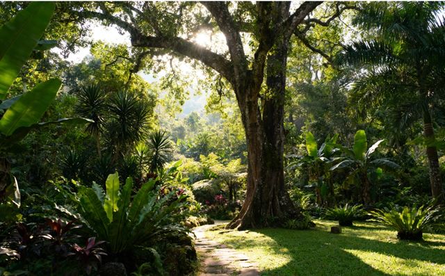 尋訪綠色明珠植物園 尋訪綠色明珠植物園