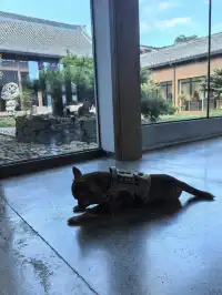 寧波徒步 | 山海徑，烽火台，風車路