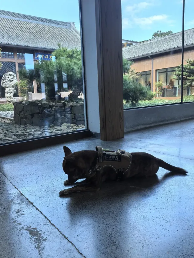 寧波徒步 | 山海徑，烽火台，風車路