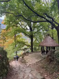 赴約山海｜台州自駕行程記錄（寵物友好版）