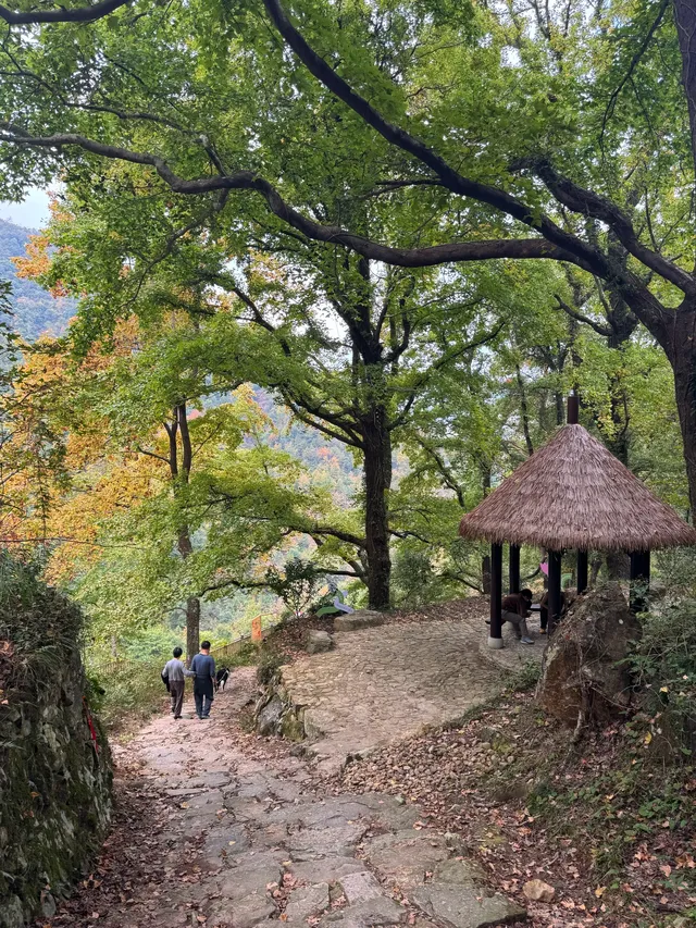 赴約山海｜台州自駕行程記錄（寵物友好版）
