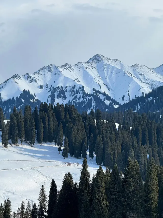 冬季伊犁|我在新疆找到的冰雪 冬季伊犁|我在新疆找到的冰雪